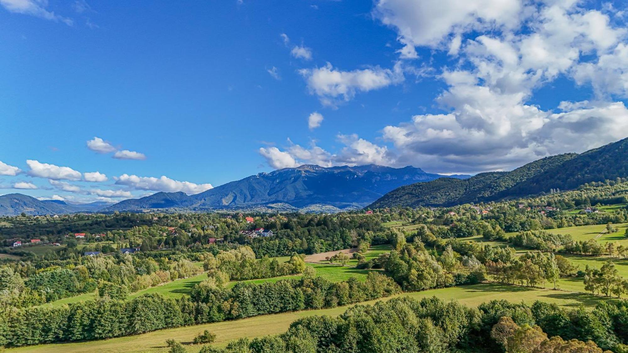 Cabana Timbernest Бран Екстер'єр фото