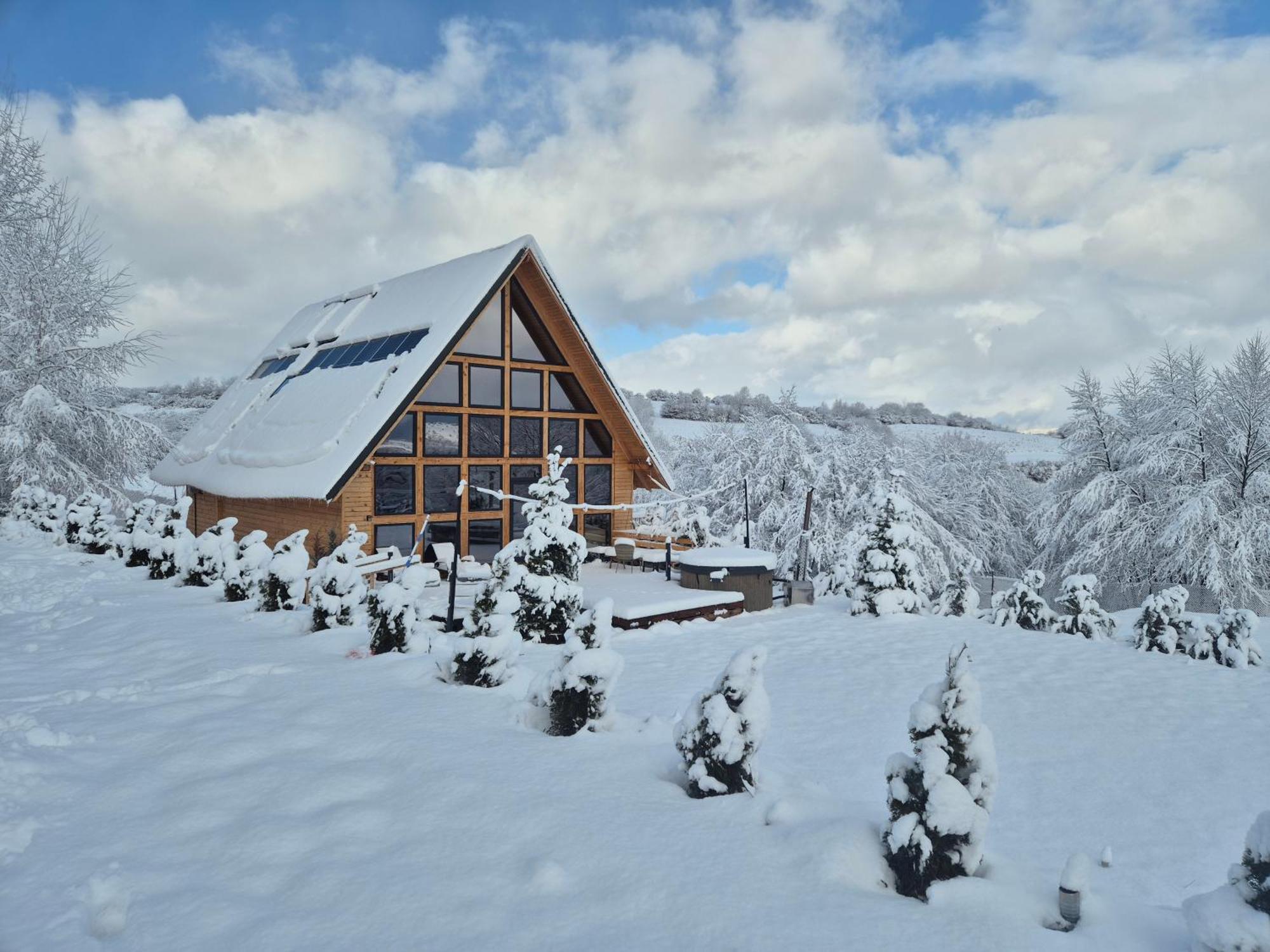 Cabana Timbernest Бран Екстер'єр фото