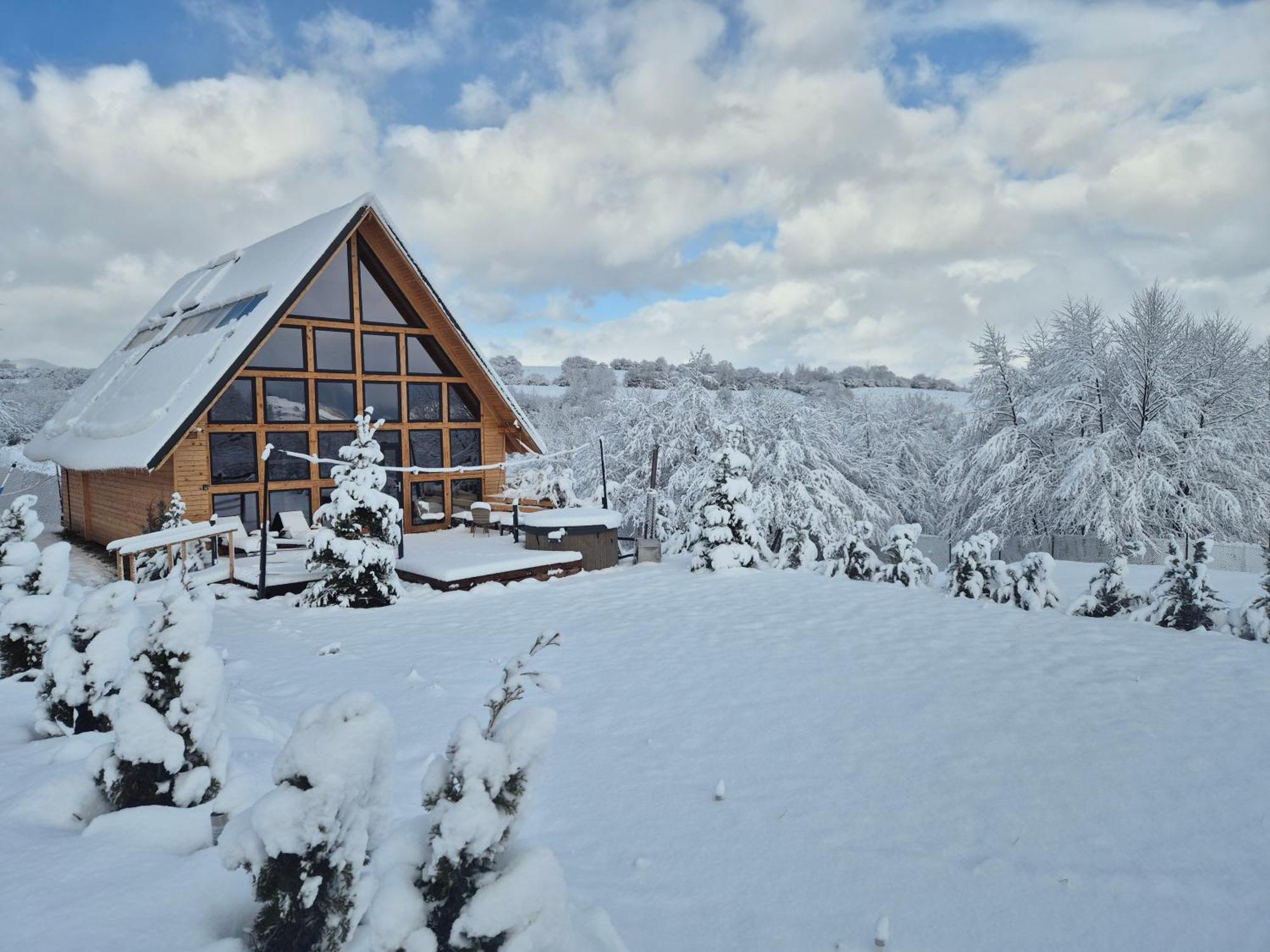 Cabana Timbernest Бран Екстер'єр фото
